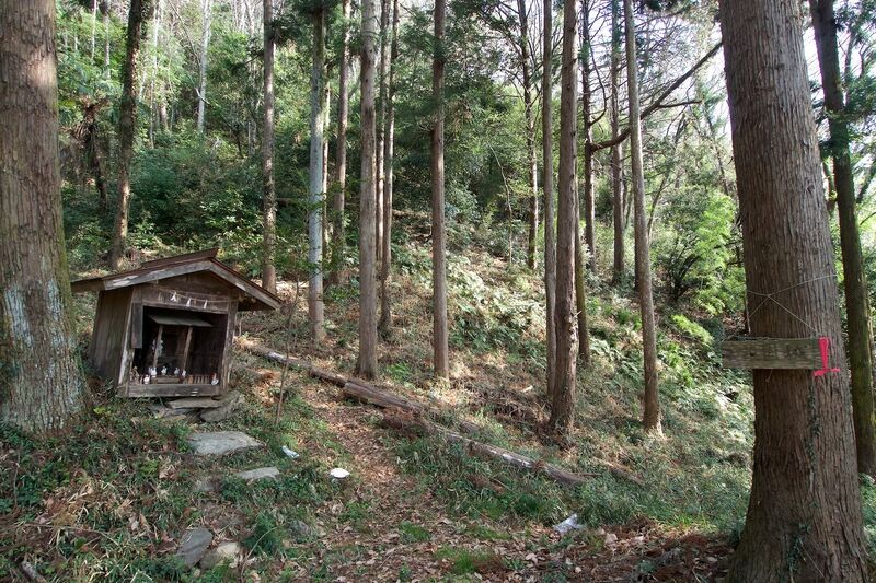 File:Hanazono2.jpg
