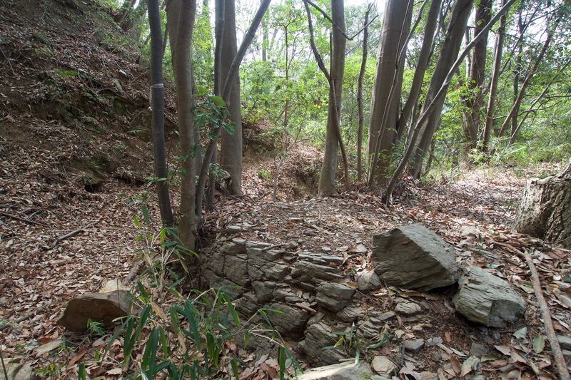 File:Hanazono23.jpg