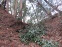 InaKuratajou (3).JPG
