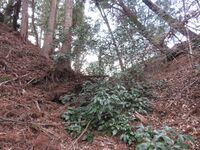 InaKuratajou (3).JPG