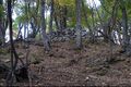 Thumbnail for version as of 13:26, 24 June 2017
