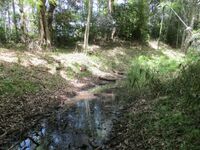 Matsubarajou (1).jpg