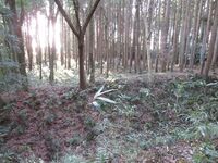 MinamiSakaidejou (17).JPG