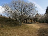 Ogawakoka11.jpg