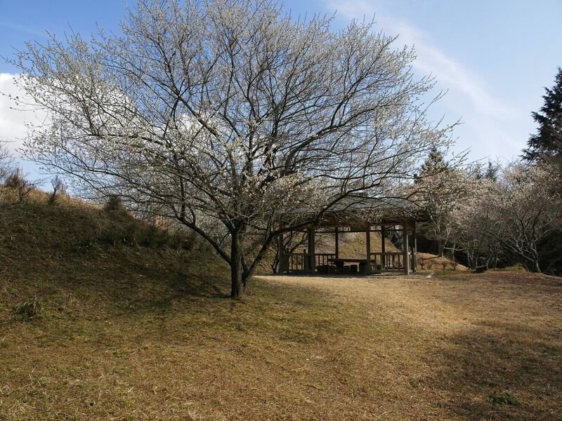 File:Ogawakoka11.jpg