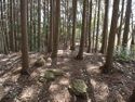 Shigisan3.jpg