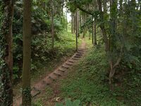 Shiroi11.jpg