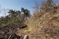 Thumbnail for version as of 13:32, 24 June 2017