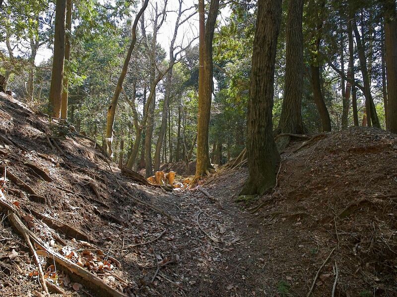 File:Tsuchiyamakoka14.jpg