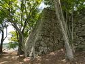 Tsuyama39.jpg