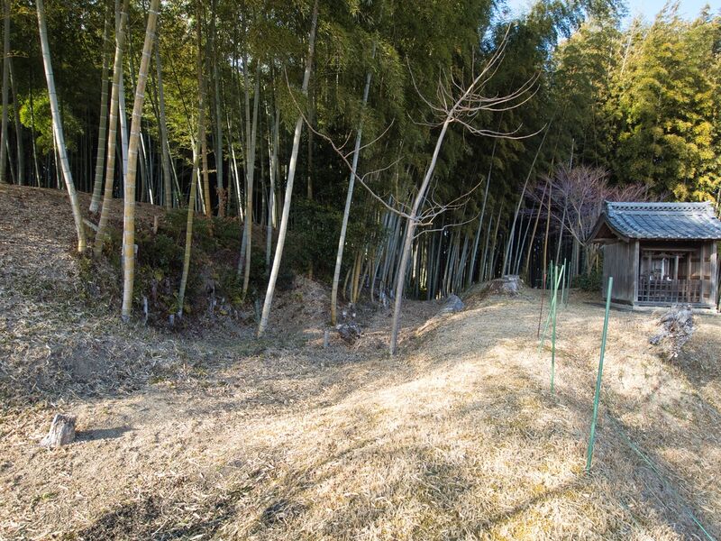 File:Uchikoshikoka4.jpg