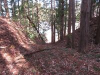 Uenotairajou (17).JPG