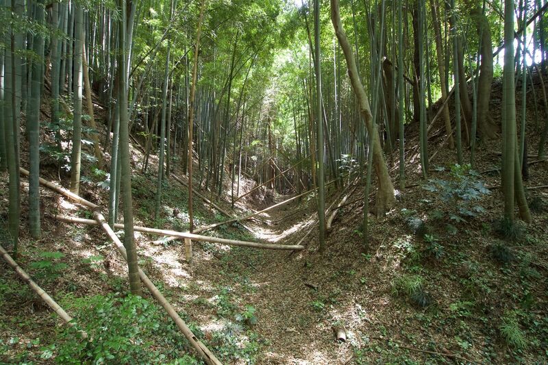 File:Ushiku14.jpg
