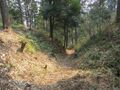 Thumbnail for version as of 14:35, 21 June 2025