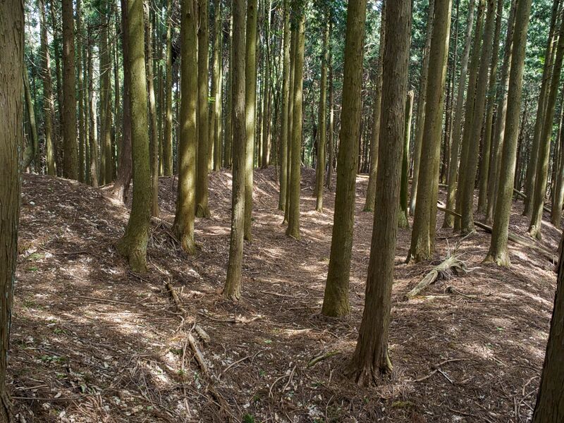 File:Dogiyama17.jpg