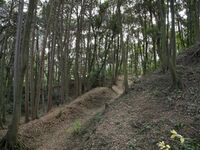 Eboshigata34.jpg