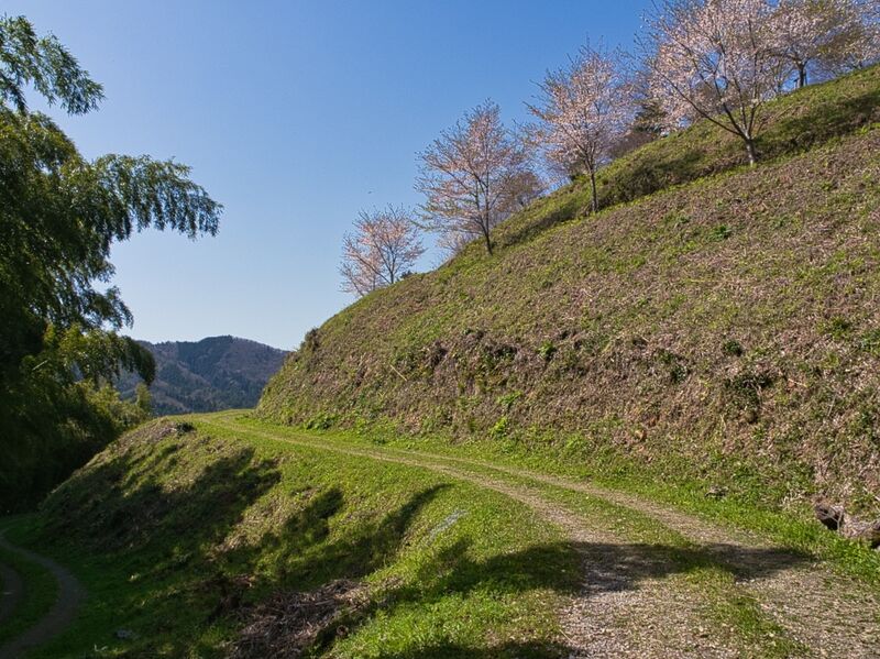 File:Kanbayashi5.jpg