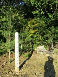 MaruyamaMandairaYakata (7).JPG