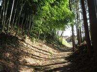 Urizurajou (4).JPG