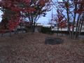 Thumbnail for version as of 10:32, 28 January 2022