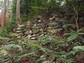 Thumbnail for version as of 08:39, 2 April 2023