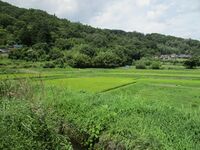 AzumiOgiwaraYakata (5).JPG