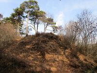 Ina-Ryūgsaki10.JPG