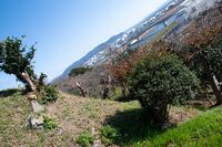Ishinomaki19.JPG