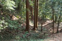 Isobe4.jpg