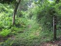 MinakuchiOkayama (11).JPG