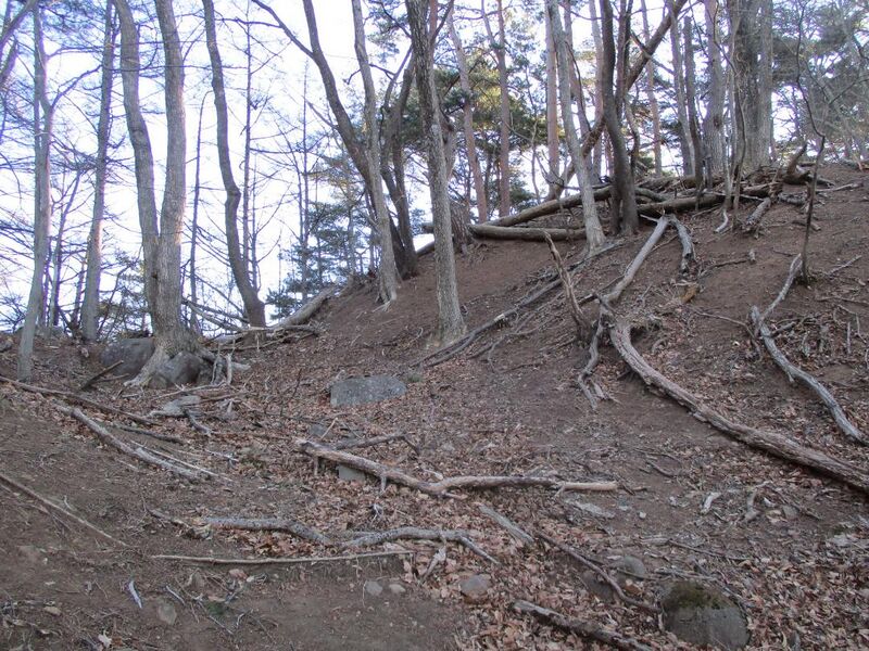 File:NiijiroToride013.jpg