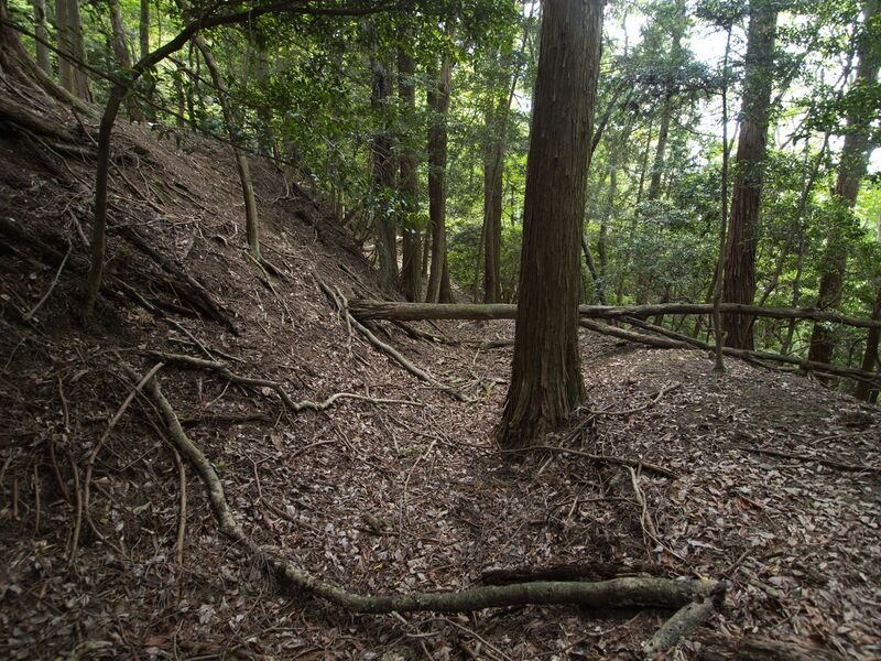 File:Nyoigatake23.jpg