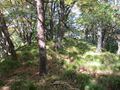 Thumbnail for version as of 22:04, 9 August 2023