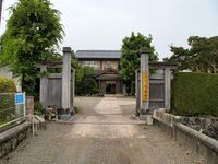 Shibukawayorii3.jpg