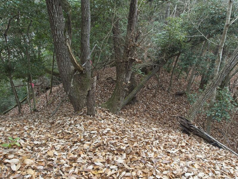 File:Shuuchi34.jpg