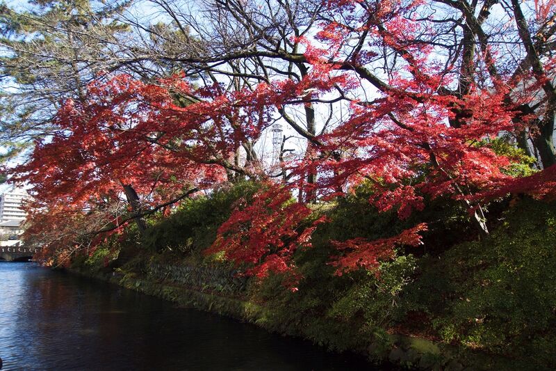 File:Takasaki3.jpg