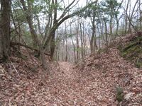 Futohyamajou (7).JPG