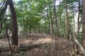 Thumbnail for version as of 08:04, 4 April 2018