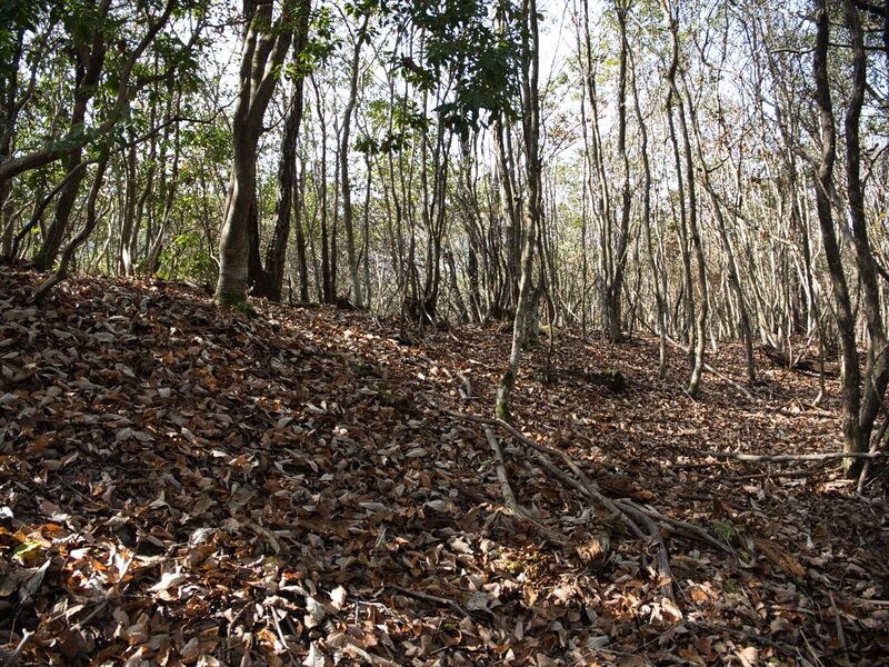 File:Inokurakyoto9.jpg