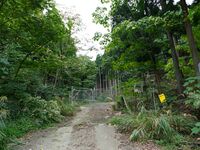 Kumagawadejiro20.jpg