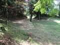Thumbnail for version as of 13:29, 20 June 2023