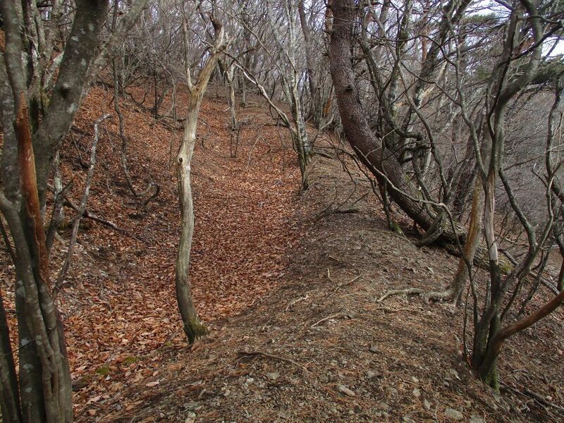 File:MisakajouC (14).jpg