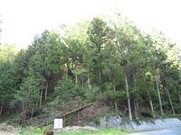 NagasakaueToride (1).JPG