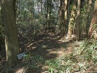 Ogawanakanokoka1.jpg