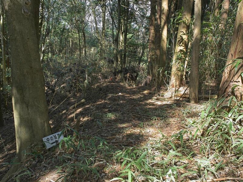 File:Ogawanakanokoka1.jpg