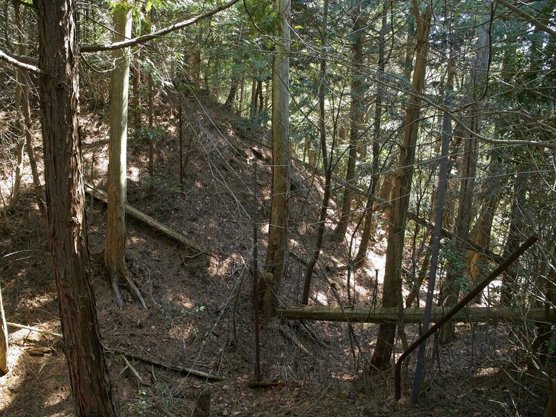 File:Takaokoka16.jpg