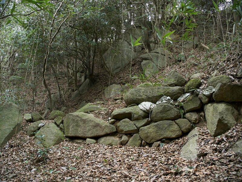 File:Iimori52.jpg