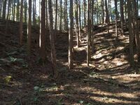 Kokashingushi15.jpg