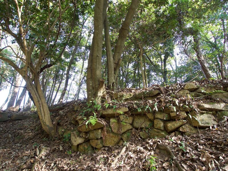 File:Niitakayama52.jpg