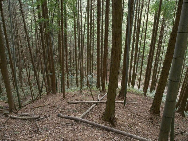 File:Ogawanishinokoka31.jpg
